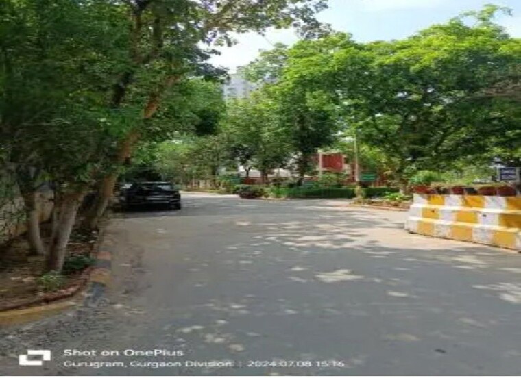 Garden, sector 65  2025 Sq.Ft. Plot In Sector 65 Gurgaon 9753094