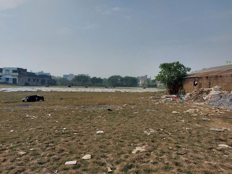 undefined, sector 65  1800 Sq.Ft. Plot In Sector 65 Gurgaon 9753117