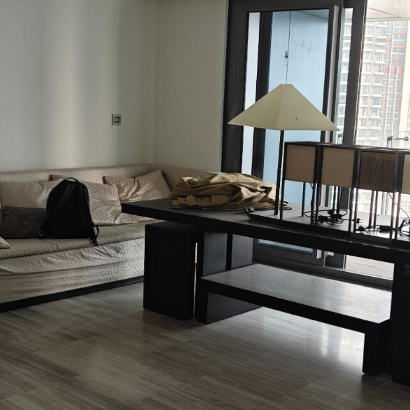 3 BHK + Servant Room Apartment For Rent in Lodha The World Towers World One Tier 2