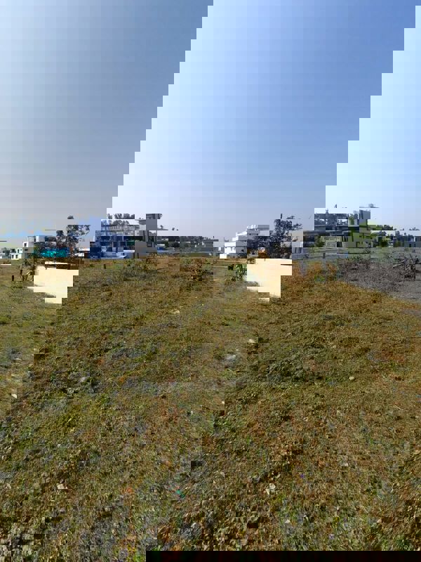 Plot For Sale in Shimla Bypass Road