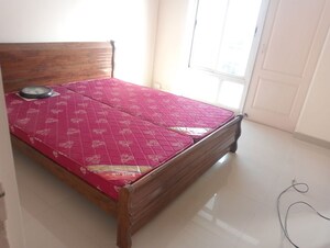 Bedroom in 3.5 BHK Apartment at Tulip Orange, Sector 70 – for Rent