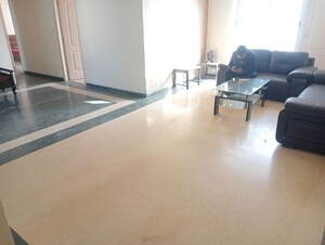 3.5 BHK Apartment For Rent in Tulip Orange, Sector 70