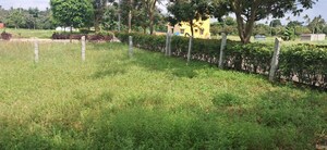  Plot For Sale in RBD Meadows, Thattanahalli