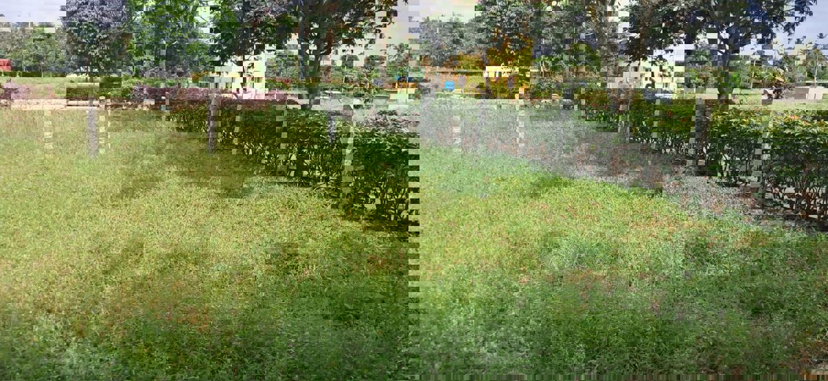 Plot For Sale in RBD Meadows