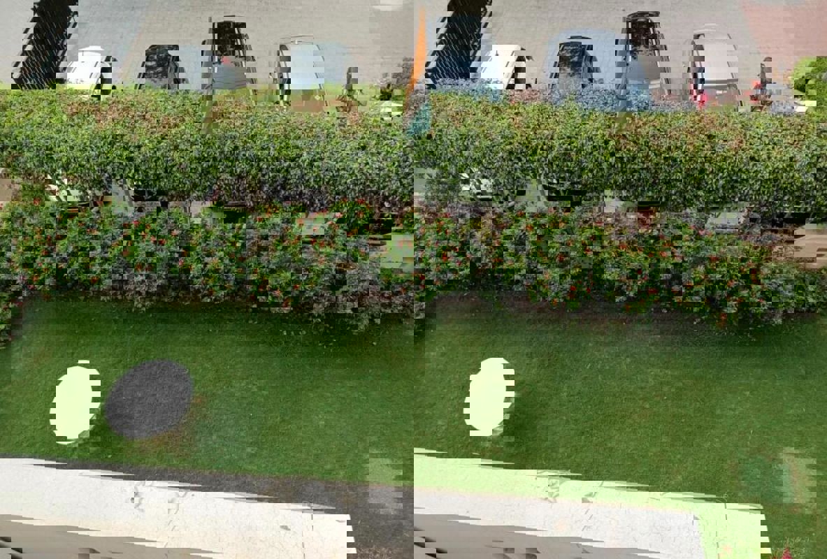 4 BHK + Pooja Room Builder Floor For Rent in BPTP Park 81