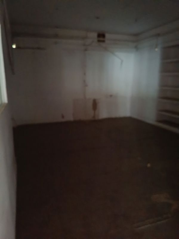 4 BHK + Pooja Room,Servant Room,Study Room,Extra Room Independent House For Sale in Maharani Bagh