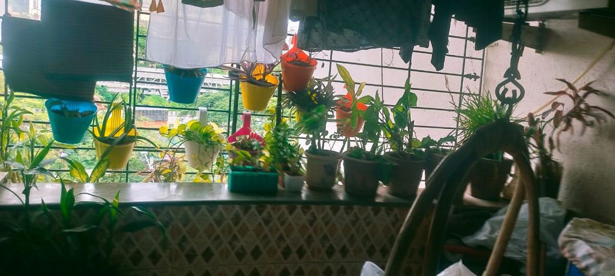 2 BHK Apartment For Rent in Royal Palace Kharghar