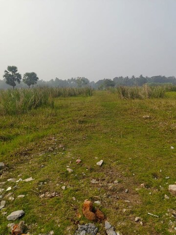 Plot Area in  Plot at Bishnupur – for Sale