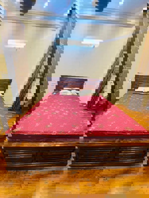 5 BHK + Pooja Room,Servant Room,Study Room Apartment For Rent in M3M Golf Estate