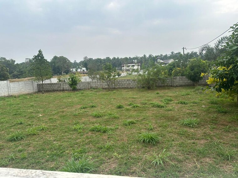 undefined, kechery  4791 Sq.Ft. Plot In Kechery Thrissur 9755726