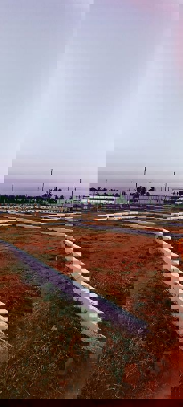 Plot For Sale in Hoskote