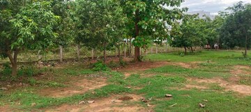  Plot For Sale in Pedathadivada