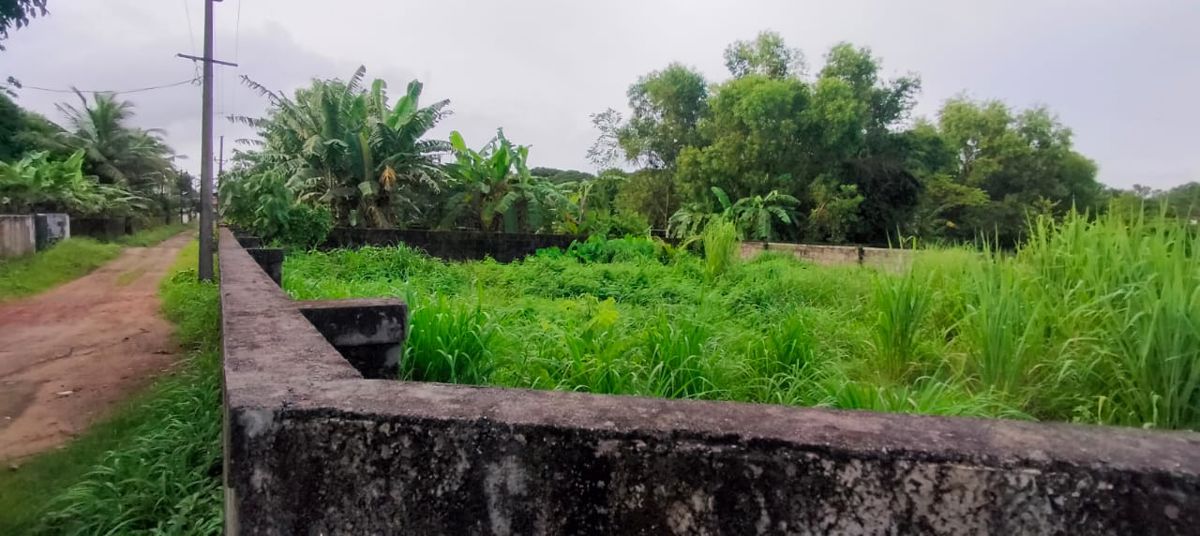 Plot For Sale in Punkunnam
