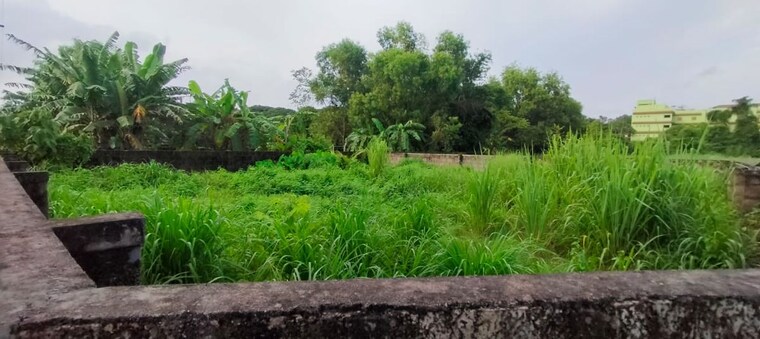 undefined, punkunnam  3049 Sq.Ft. Plot In Punkunnam Thrissur 9755842