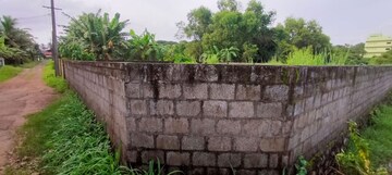 Plot Area in  Plot at Punkunnam – for Sale