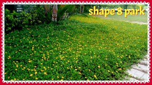 Plot Area in  Plot at Gauribidanur Road – for Sale