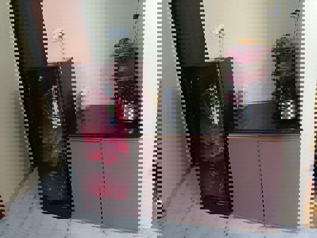 1 BHK + Pooja Room Apartment For Rent in VTP One