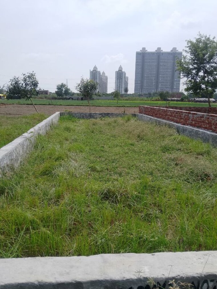 undefined, sector 142  900 Sq.Ft. Plot In Sector 142 Noida 9755837