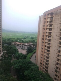 1 BHK + Extra Room Apartment For Rent in Terraform Everest Countryside Daffodil