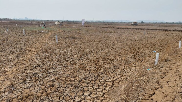 undefined, katara hills  3000 Sq.Ft. Plot In Katara Hills Bhopal 9756463