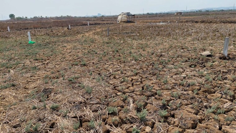 undefined, katara hills  3000 Sq.Ft. Plot In Katara Hills Bhopal 9756463