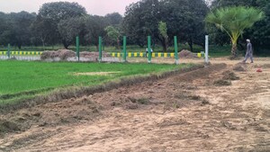 Plot Area in  Plot at Sector 145 – for Sale