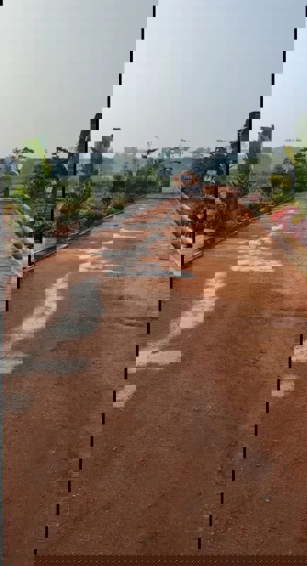 Plot For Sale in Chikkaballapur