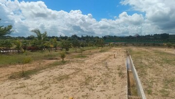 Plot Area in  Plot at Akshayanagar – for Sale