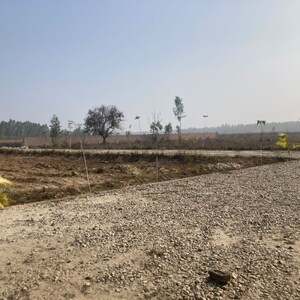 Plot Area in  Plot at Behat Road – for Sale