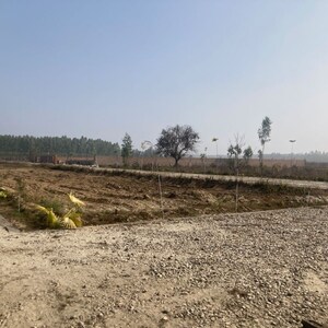 Plot Area in  Plot at Behat Road – for Sale