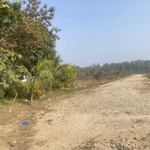 Plot Area in  Plot at Behat Road – for Sale