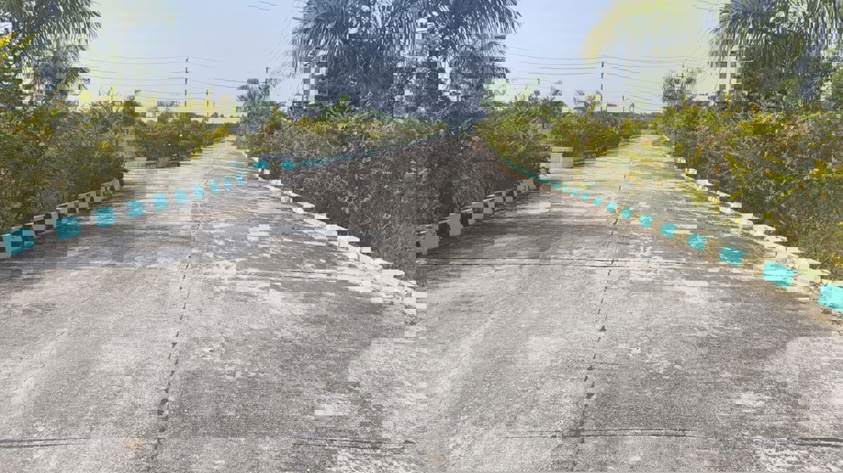 Plot For Sale in Kolar