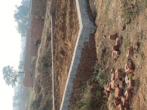  Plot For Sale in Nacholi