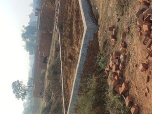 Plot Area in  Plot at Nacholi – for Sale