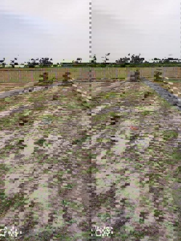 Plot For Sale in Jewar