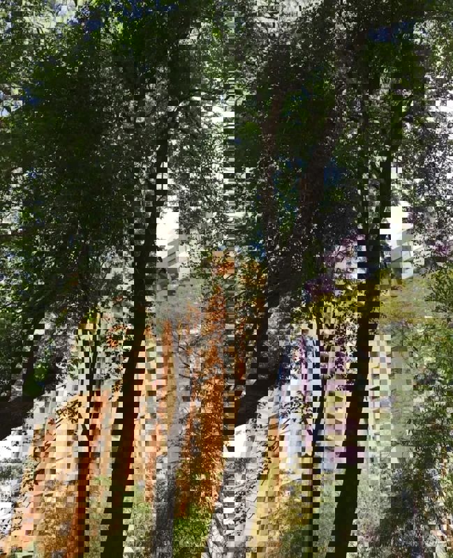 2 BHK + Pooja Room,Study Room 850 Sq.Ft. Apartment in Eden Woods complex