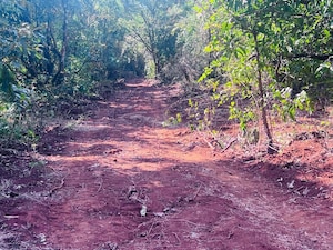 Plot Area in  Plot at Mangaon – for Sale