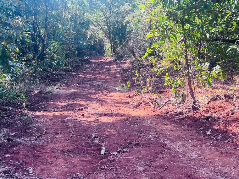 undefined, mangaon  20000 Sq.Ft. Plot In Mangaon Raigad 9757416