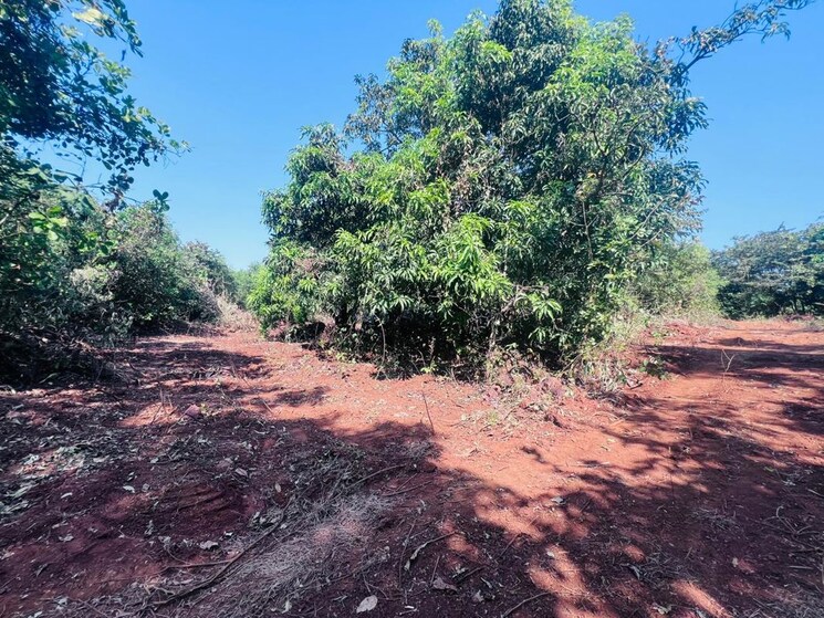 undefined, mangaon  20000 Sq.Ft. Plot In Mangaon Raigad 9757416