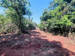 Plot Area in  Plot at Mangaon – for Sale