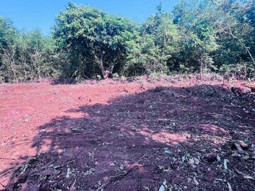 Plot Area in  Plot at Mangaon – for Sale