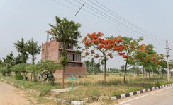 Plot For Sale in Panchkula Urban Estate