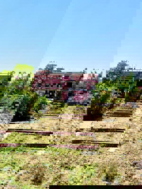 Plot For Sale in Omaxe City