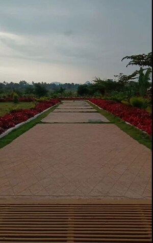  Plot – Exterior View View at Chikkaballapur - for Sale