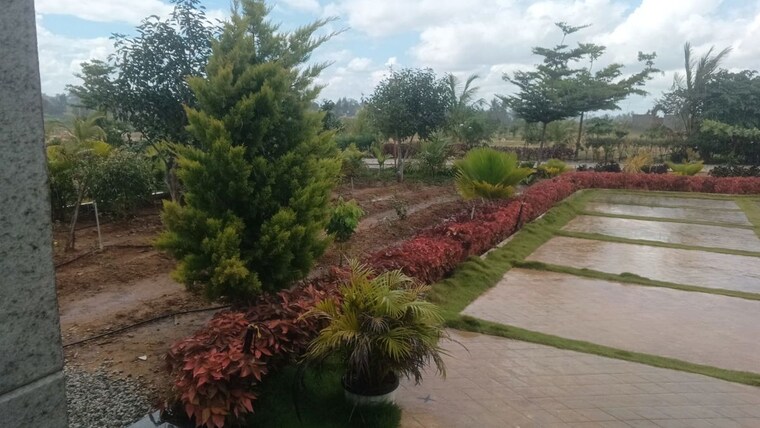 Garden, chikkaballapur  1200 Sq.Ft. Plot In Chikkaballapur Bangalore 9757584