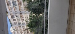 3 BHK Apartment For Rent in Sobha Magnolia