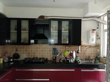 Kitchen in 3 BHK Apartment at Amrapali Golf Homes, Sector 4 Greater Noida – for Rent