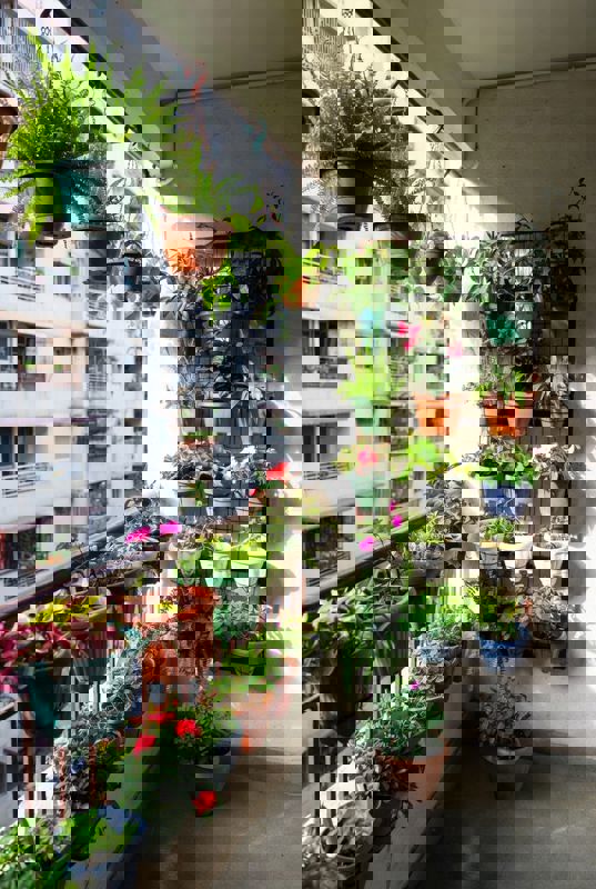 Pg For Rent in Vineet Khand