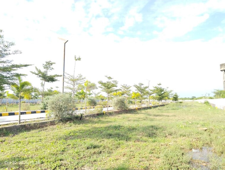 Garden, shadnagar  150 Sq.Yd. Plot In Shadnagar Hyderabad 9757940