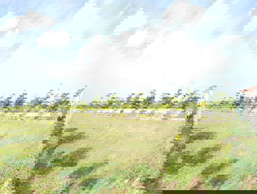 Plot For Sale in Shadnagar